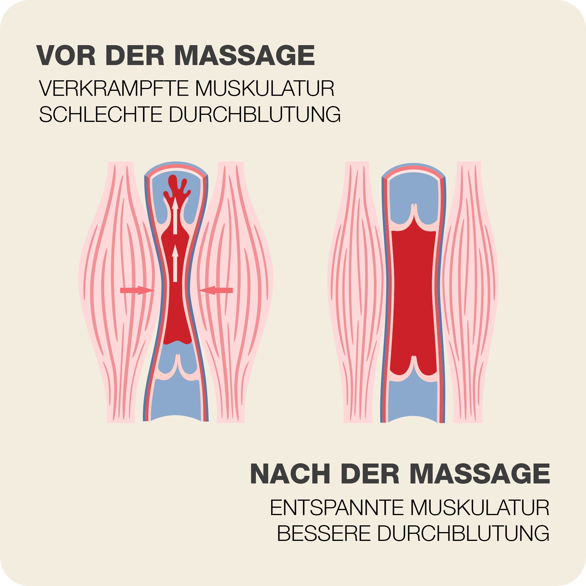 Basic Jade: Muskel vor und nach der Massage