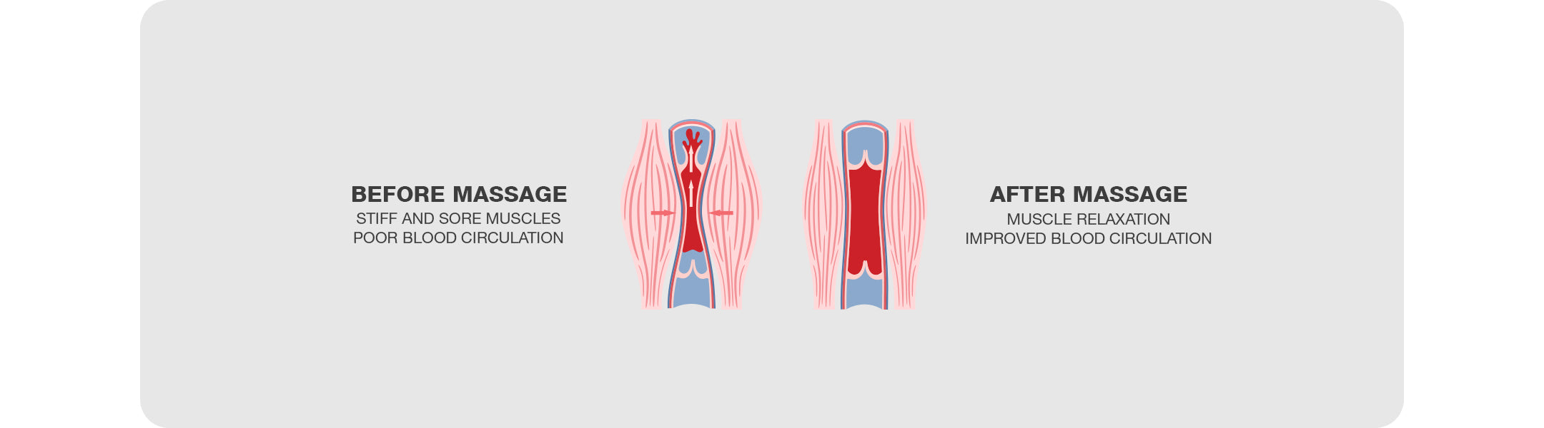 comparison of muscle tissue before and after massage