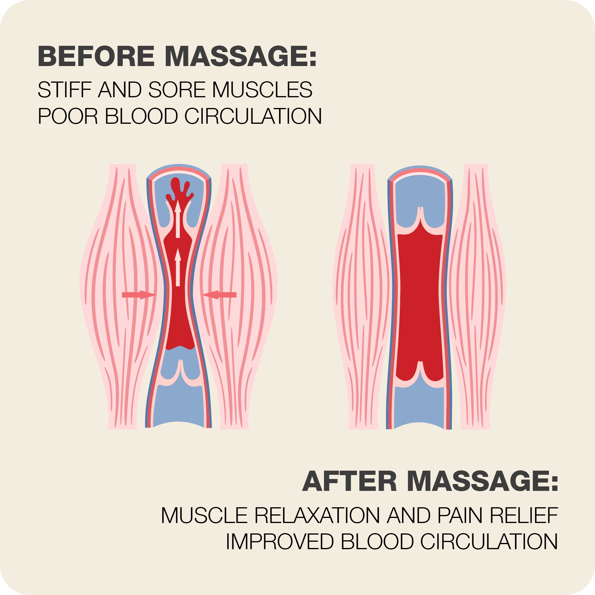 comparison of muscle tissue before and after massage